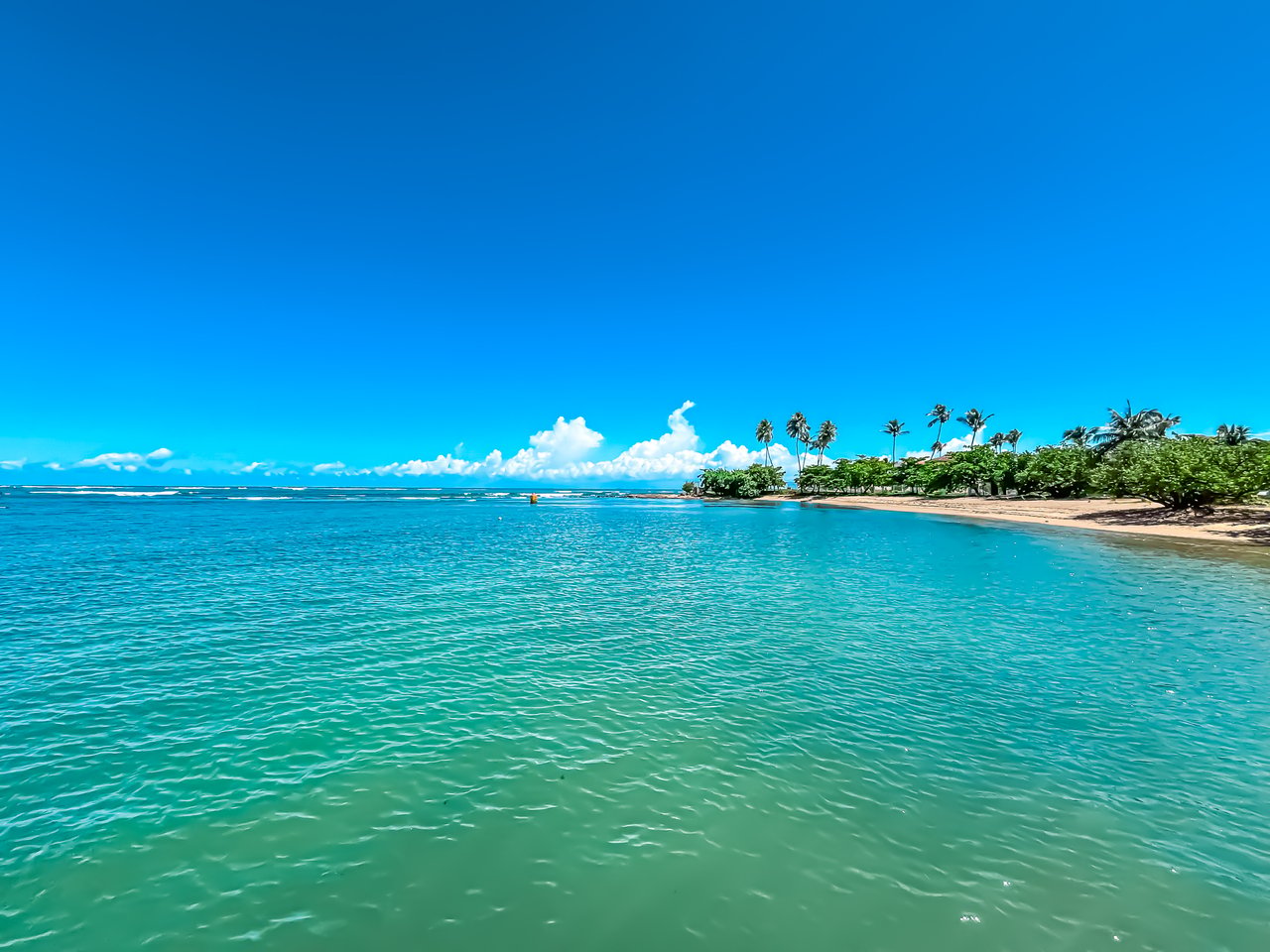 Dorado del Mar A9