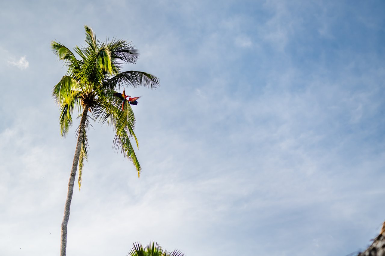 Tambor Tropical Beach Resort / Tambor, Cóbano, Puntarenas