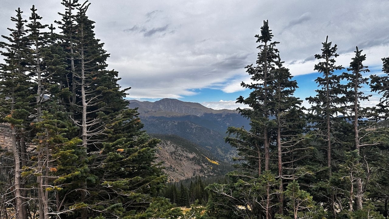 Where the Road Meets the Sky: Driving Trail Ridge Road