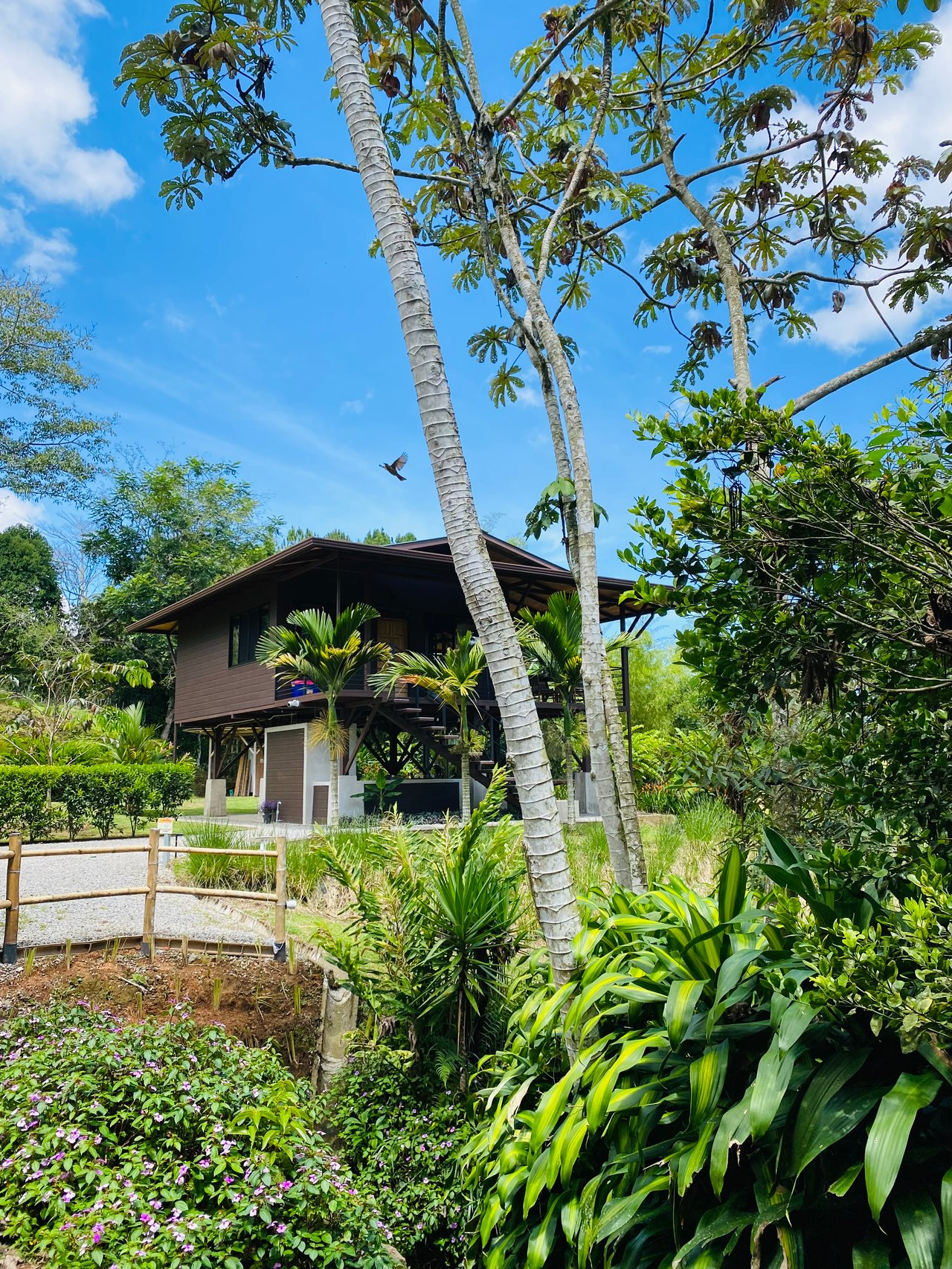 Mountain Oasis with House and Guest Cabin in Las Brisas, San Vito 