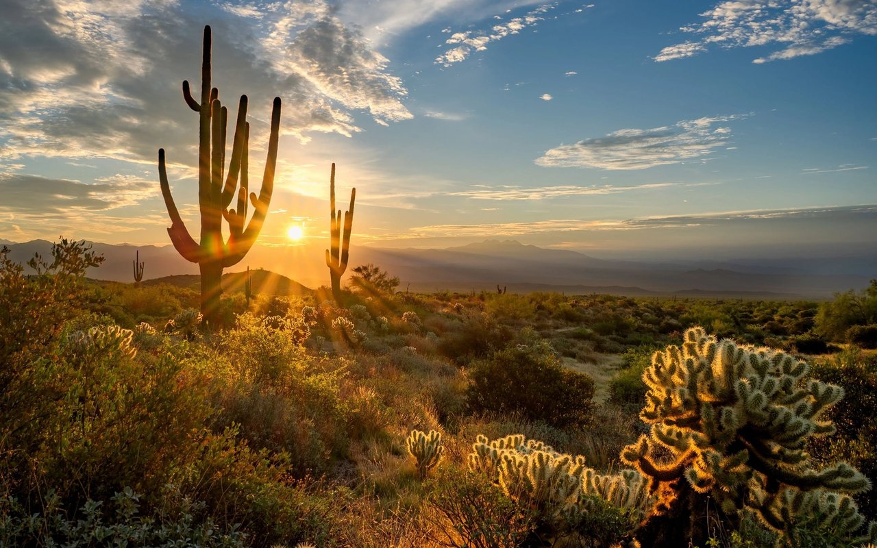 Scottsdale