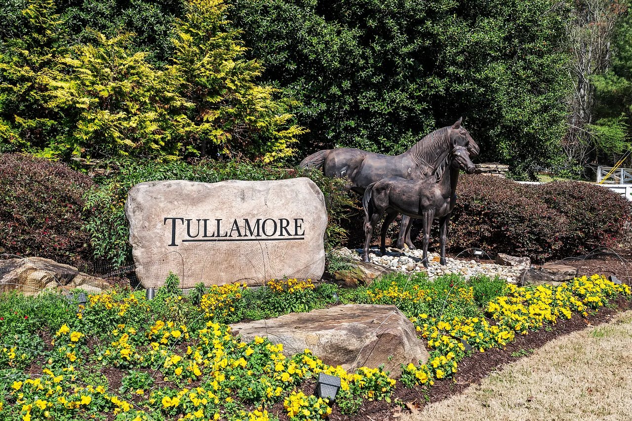 15445 Thorntree Run