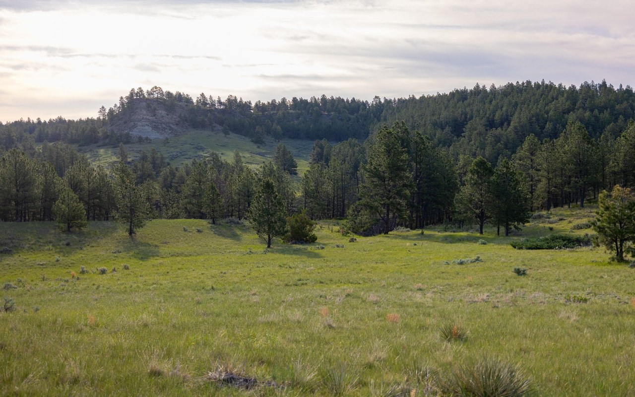 Elk Rich Ranch