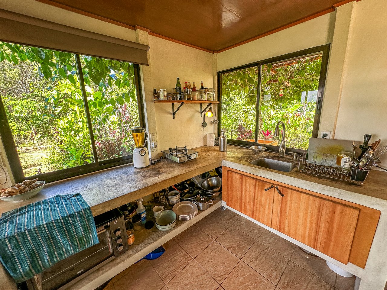Tinamastes Costa Rica Property with Home, Yoga Deck & Land