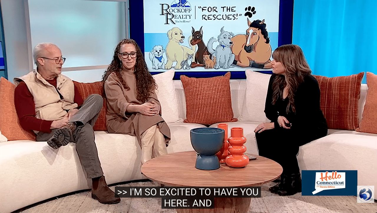 Hello Connecticut - Rockoff for the Rescues!