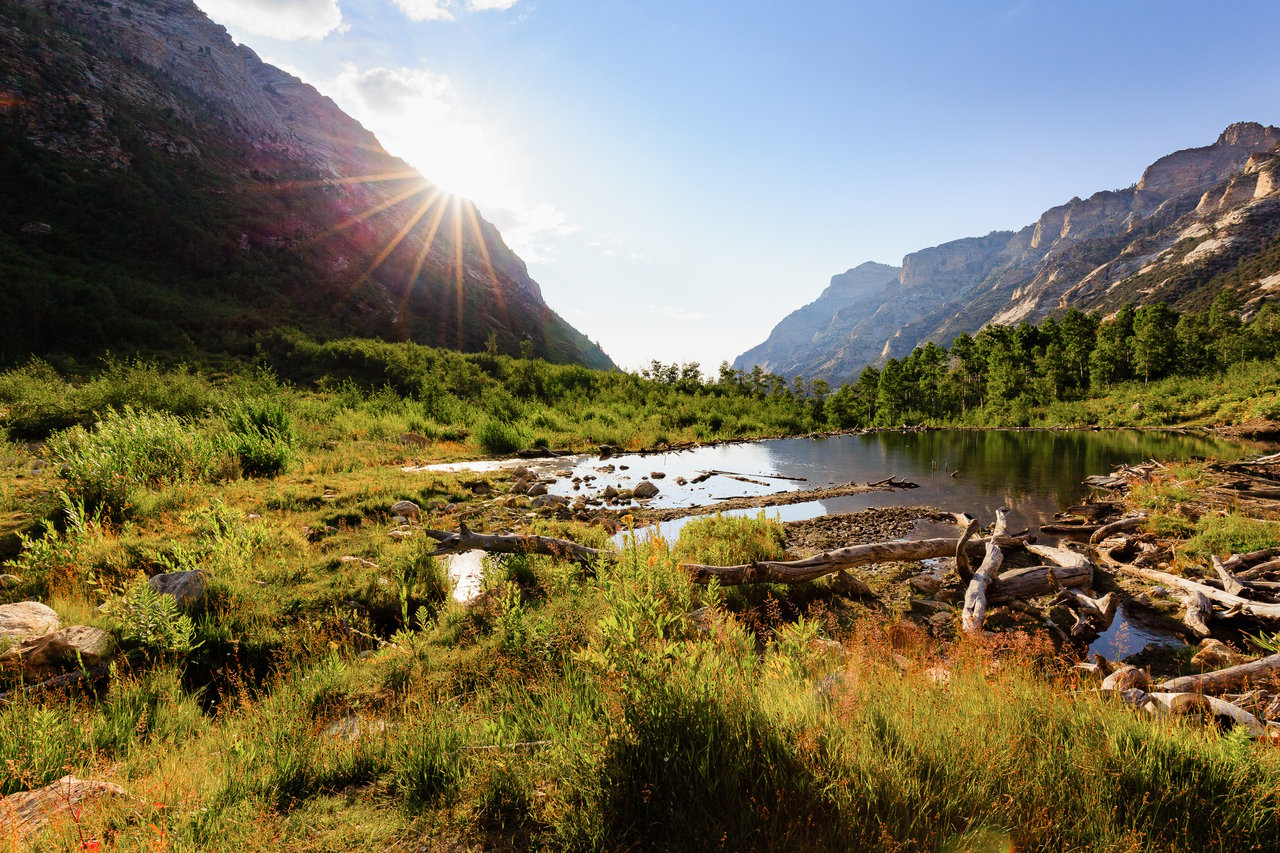 Lamoille