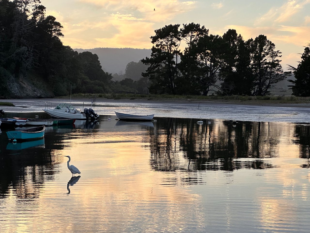 Bolinas