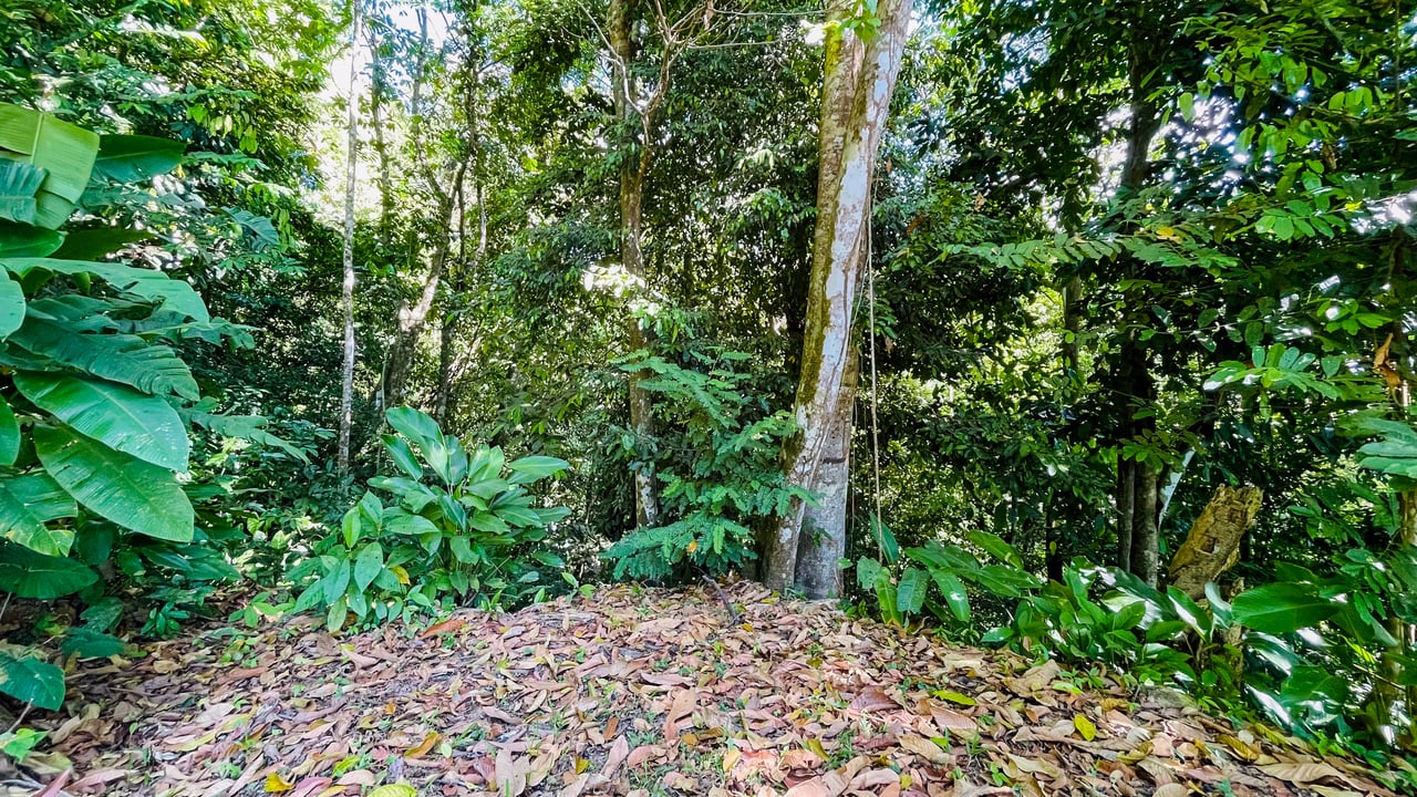 Private Mountain Sanctuary in Costa Rica awaits