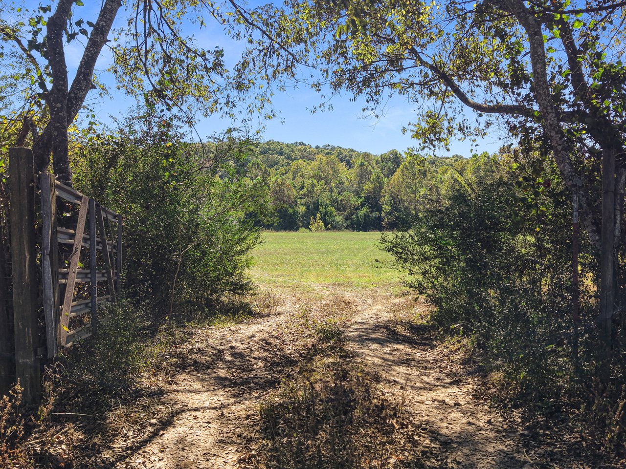 185 Acre Horse and Cattle Ranch