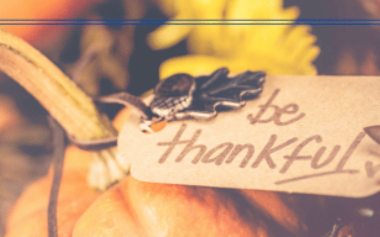 Why I'm Thankful to Call Charleston Home