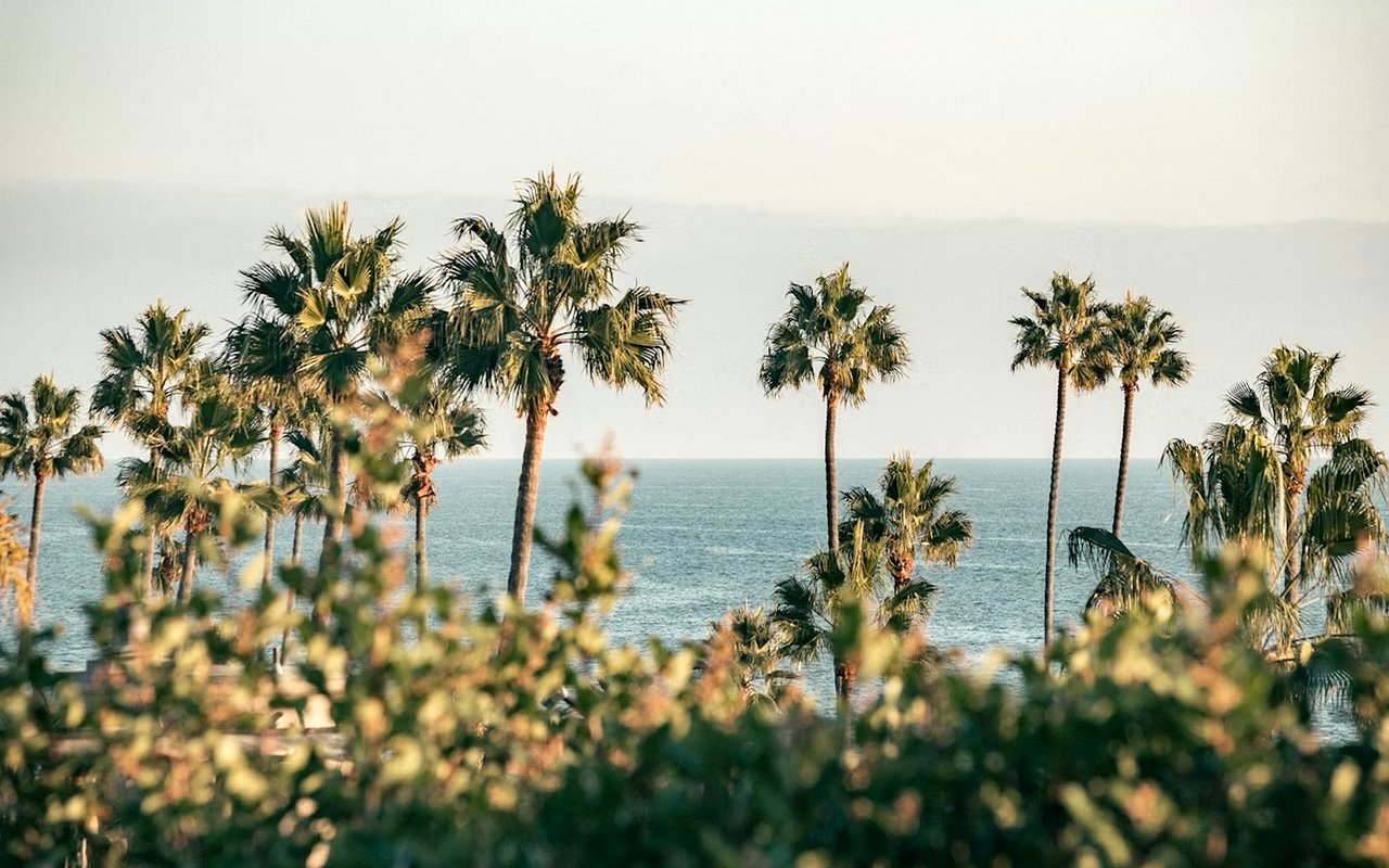 How to Buy Beachfront Property in Newport Beach