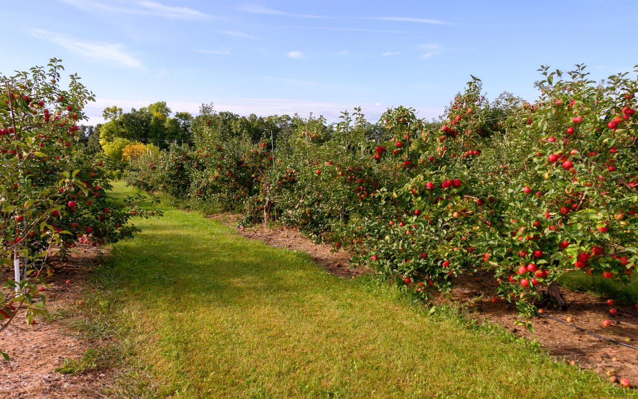 2016 North Metro Farmer’s Markets!