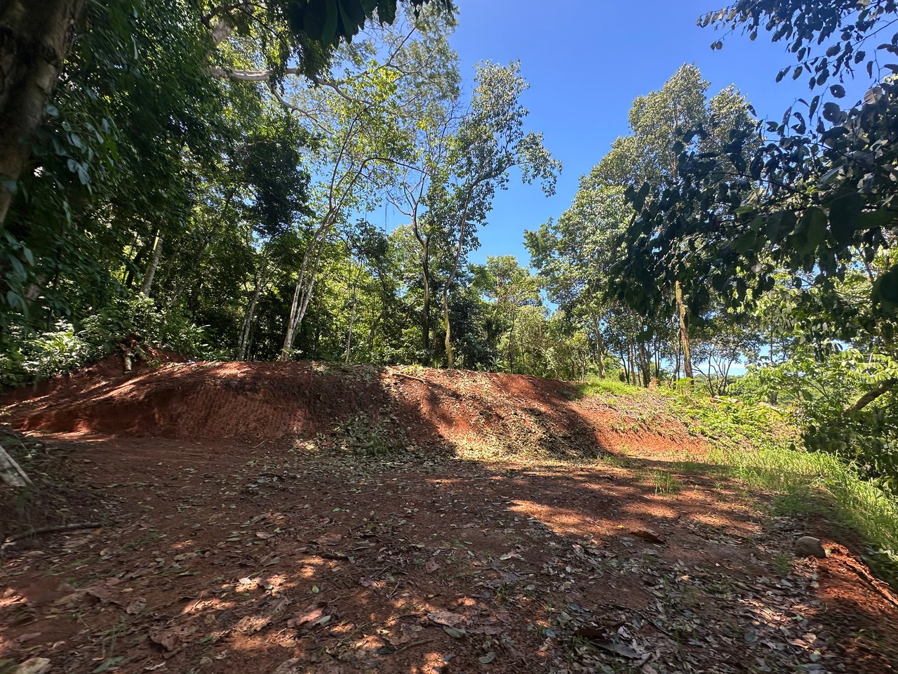 Ocean View Sanctuary in Paradise Breezes, Hatillo