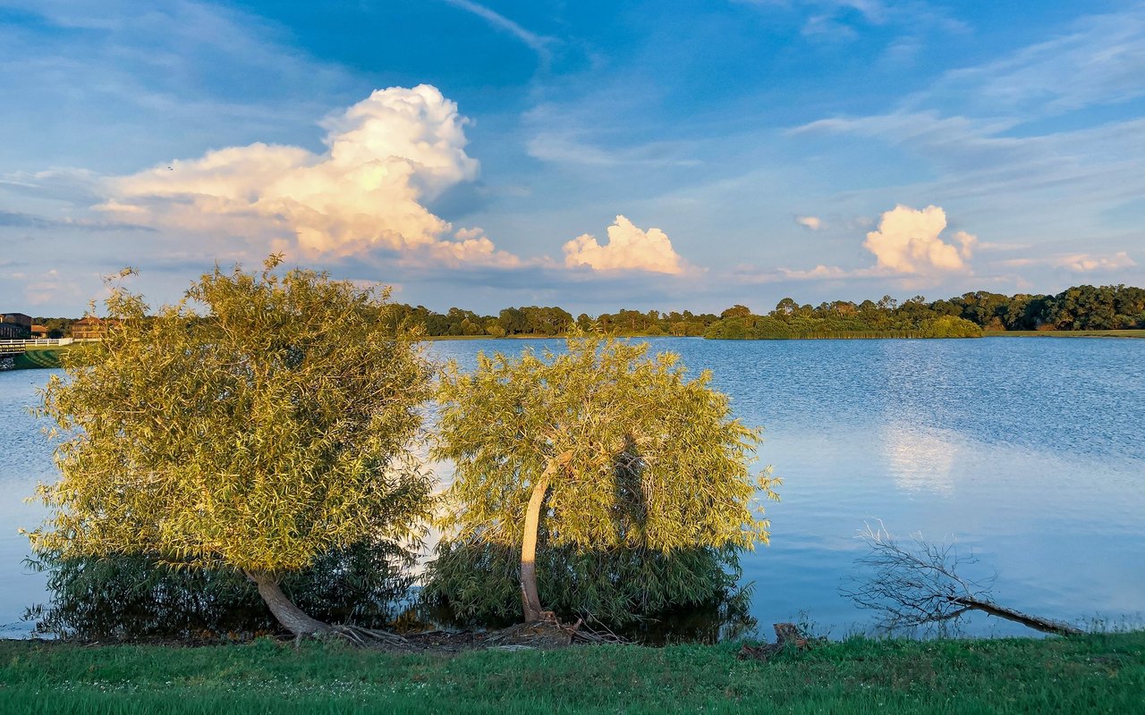 Lakewood Ranch