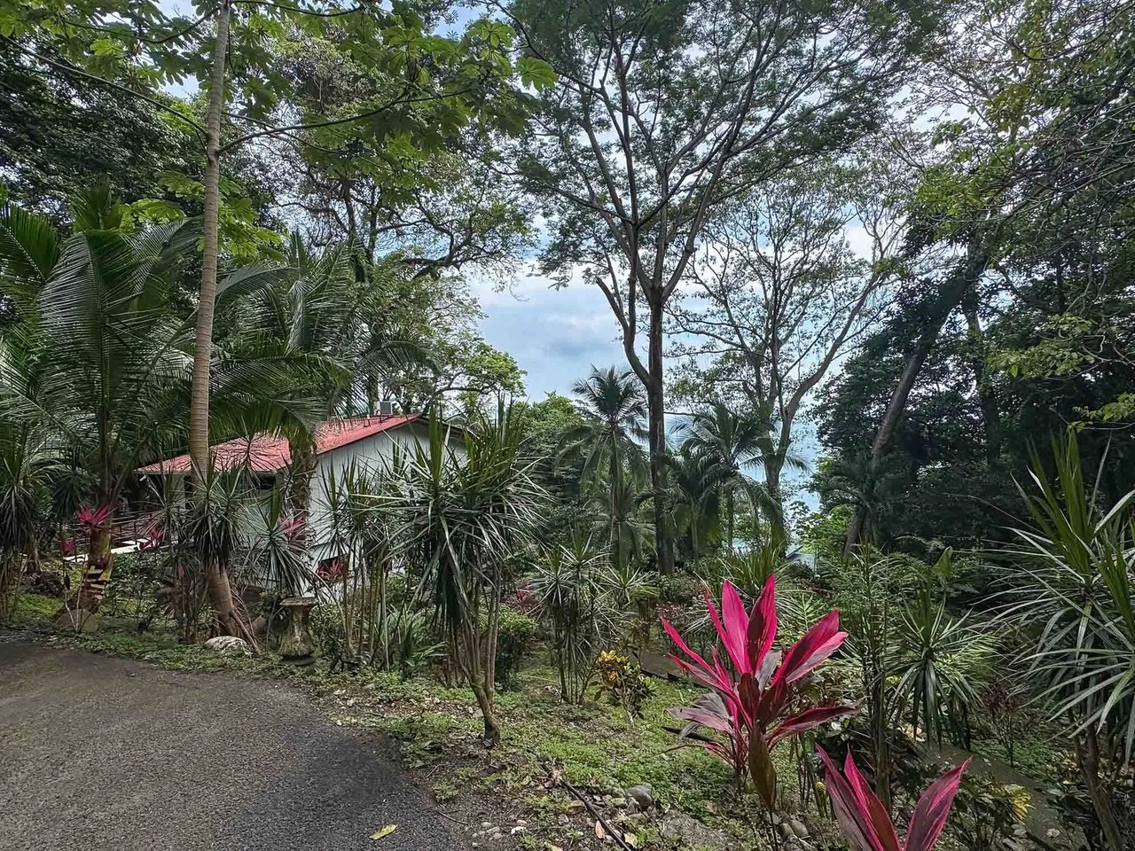 Ocean View Estate Property