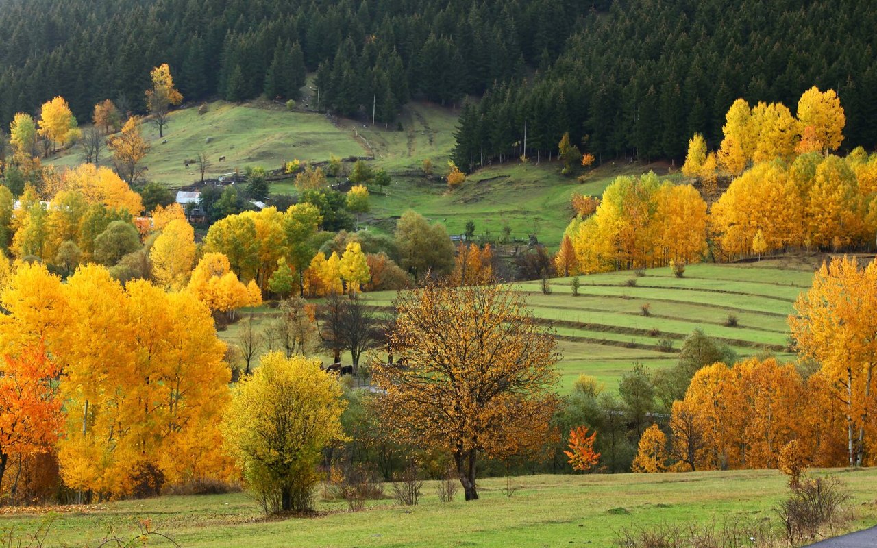 Cherry Hills Village