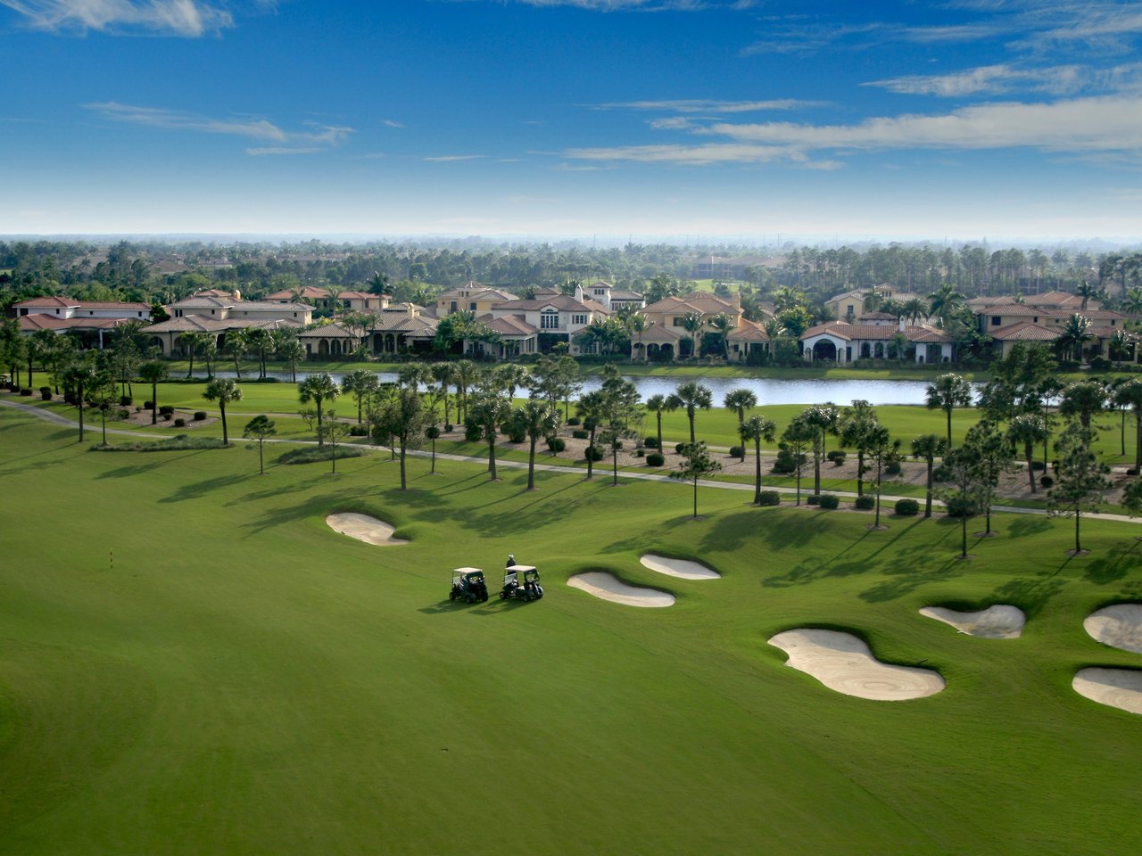 Plantation Palms