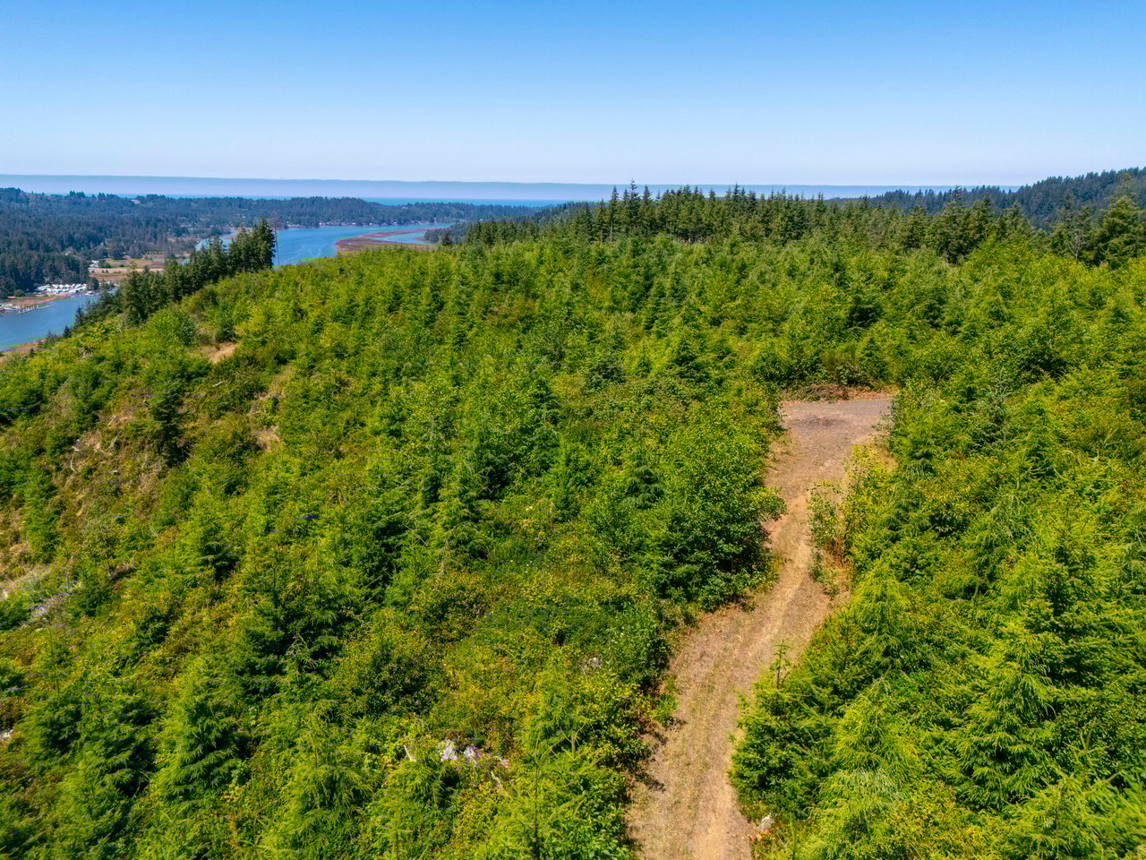 Alsea Estuary Forestland