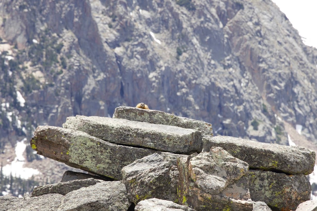 Where the Road Meets the Sky: Driving Trail Ridge Road
