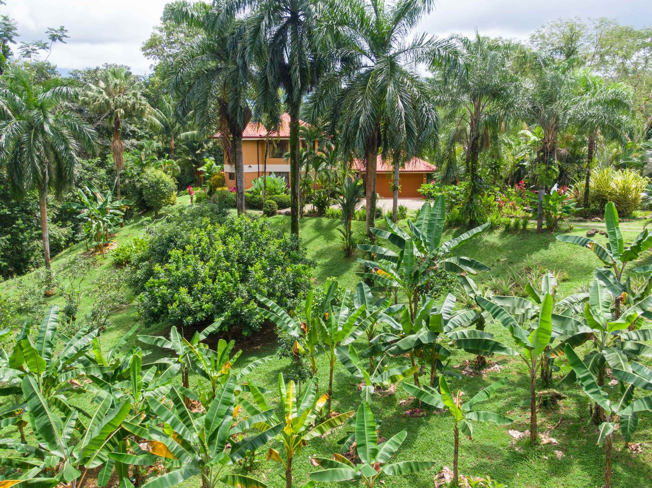 Stunning Tropical Home in Gated community with Hundreds of fruit trees  