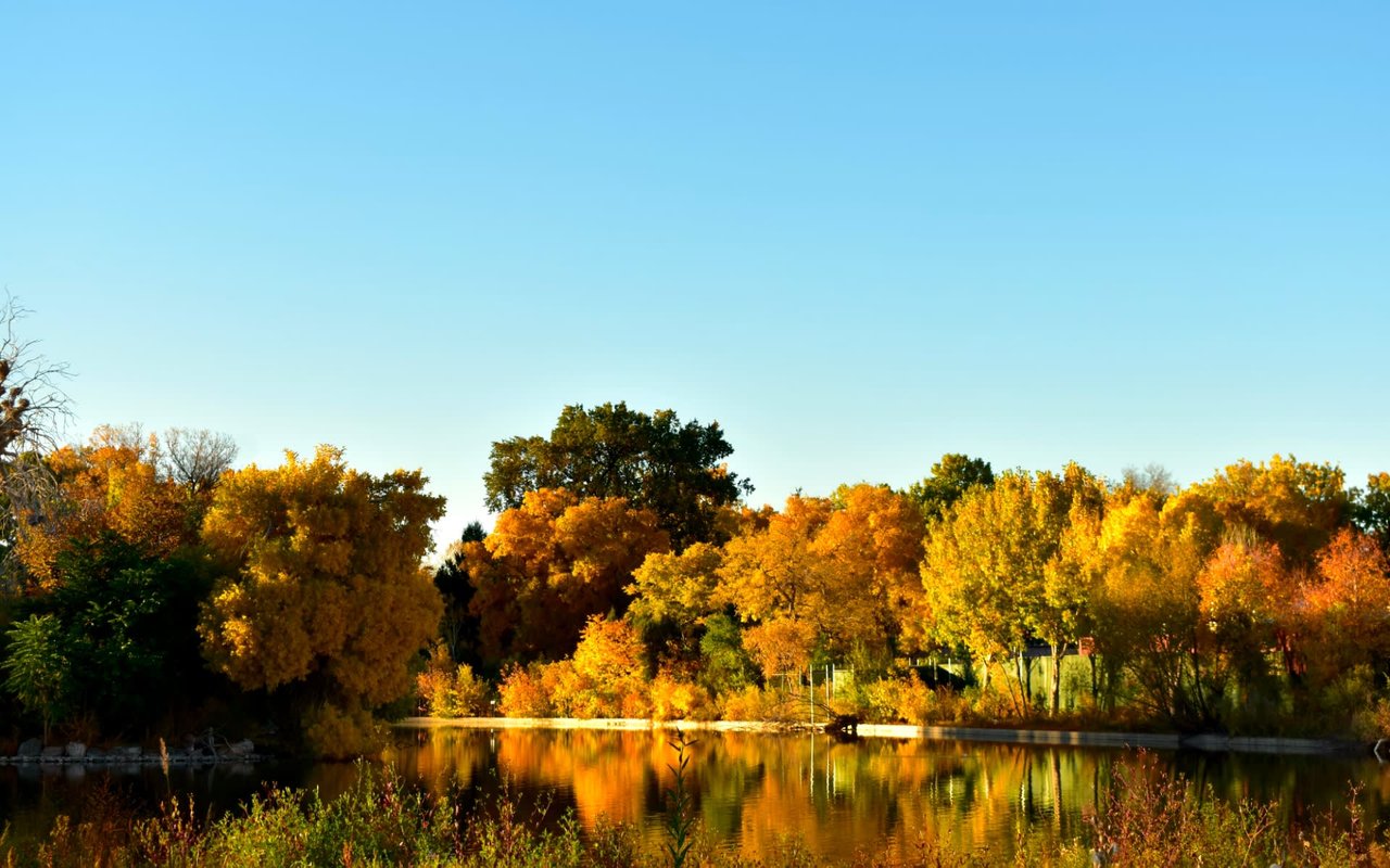 Best Parks in Denver