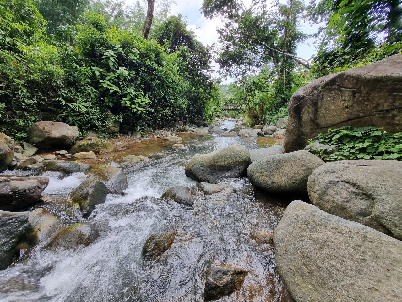 Riverfront Dream Property