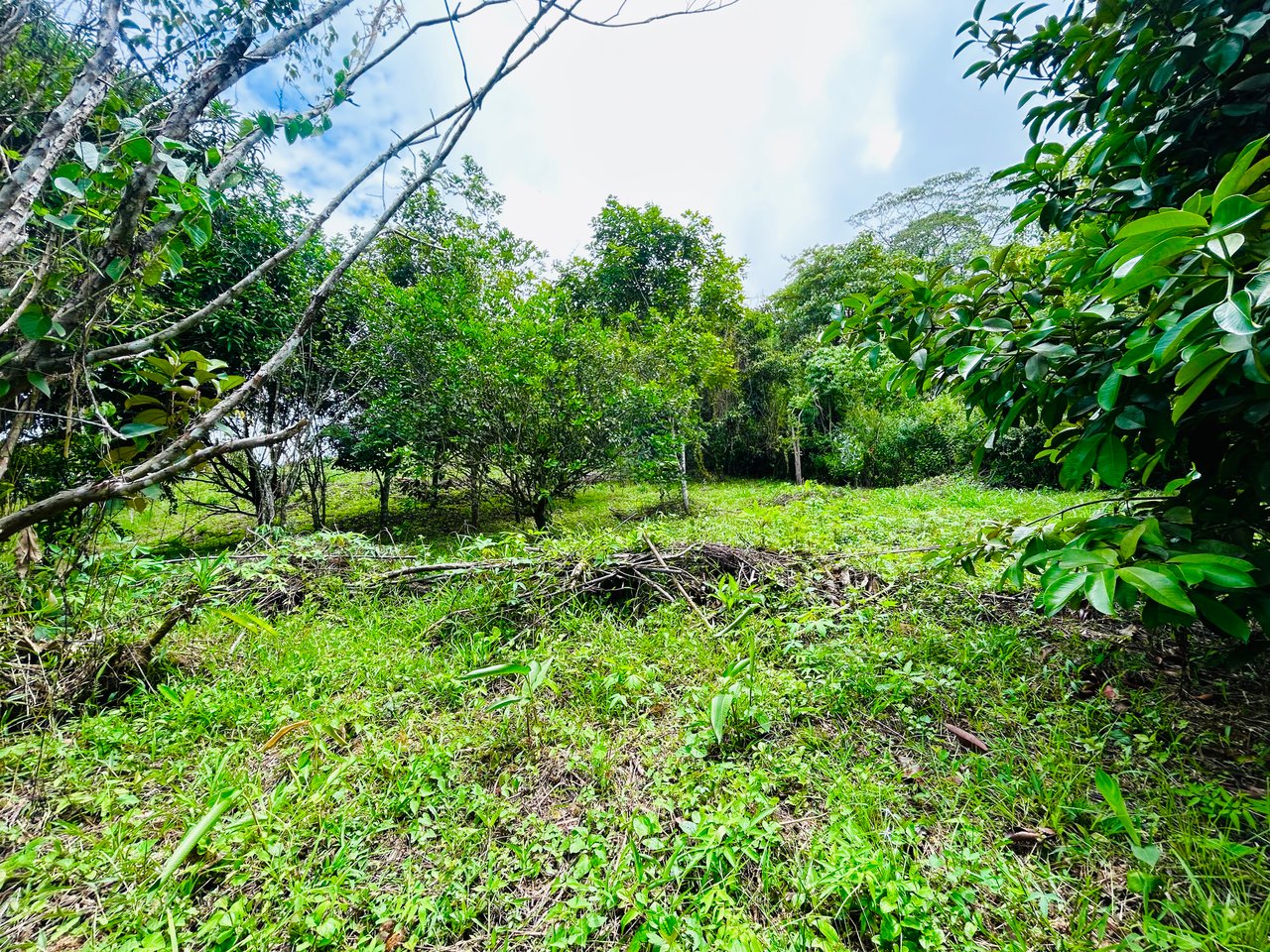 Ocean & Mountain View Lot with Multiple Building Sites-20 Minutes from Uvita
