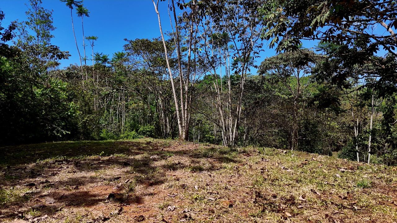Beautiful mountain view land located in a quiet community in Ojochal. 
