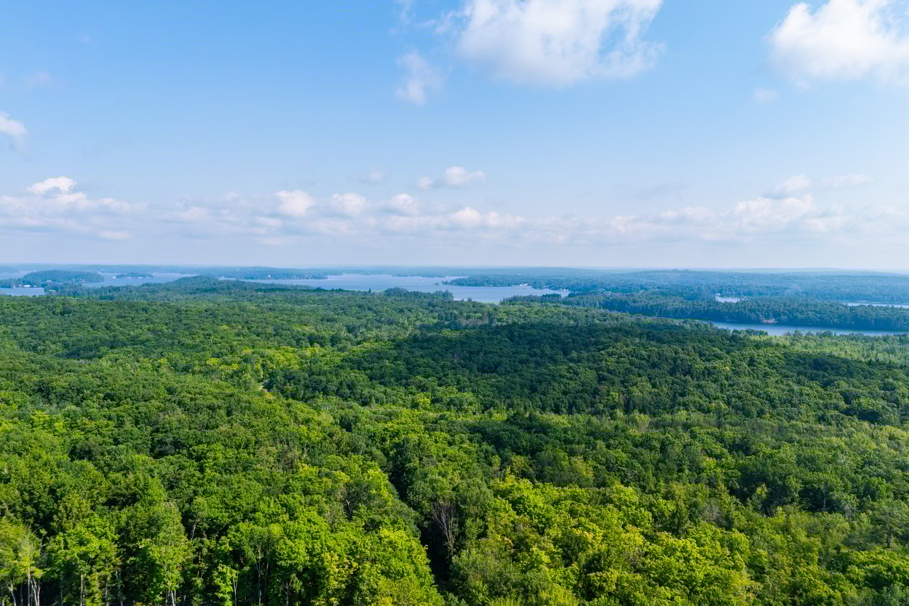 Lake Muskoka