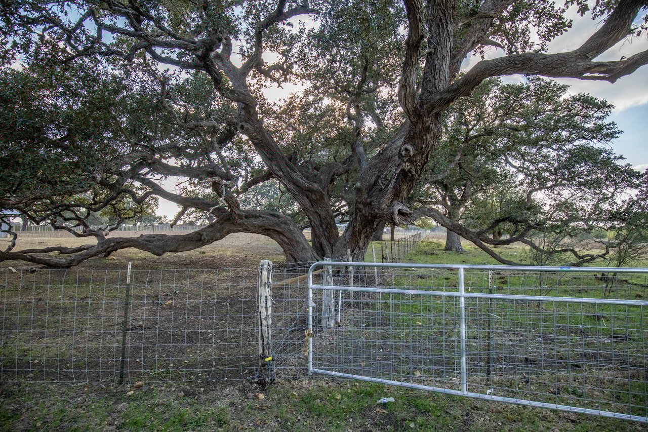 1019 Tulley Road | 45.86± Acres | Cuero, DeWitt County, TX