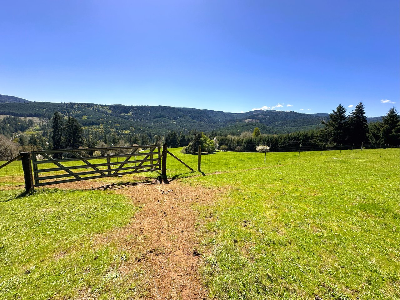 Panther Creek Homestead