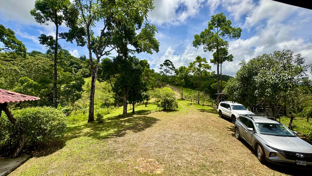 Spring, Waterfalls and more!  Farm in San Vito Limoncito!