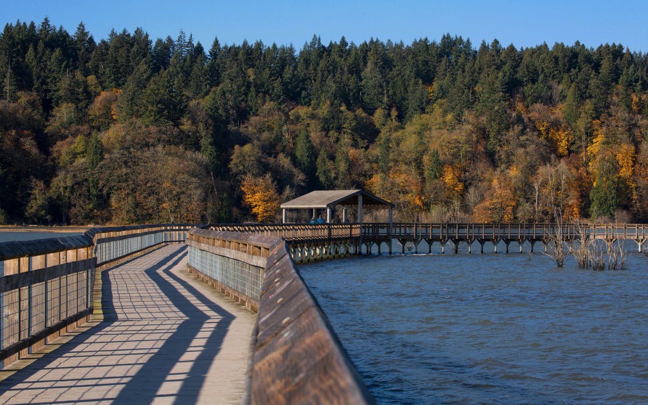 Thurston County