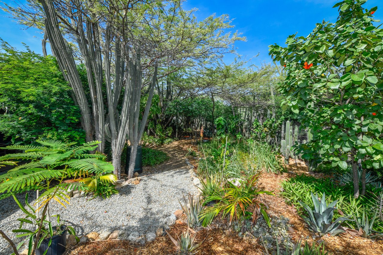 Nature-Infused Retreat at Picaron as Investment