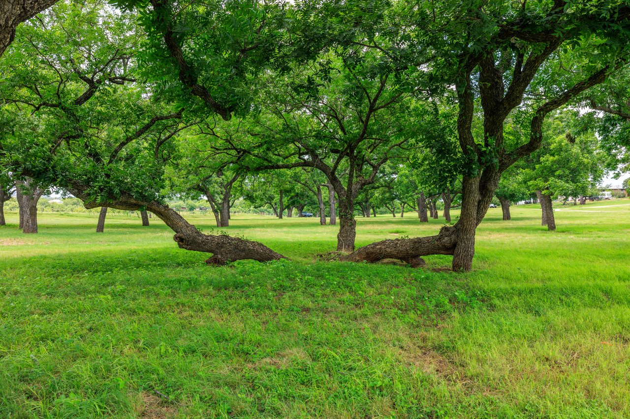 Live Oak Creek Ranch 