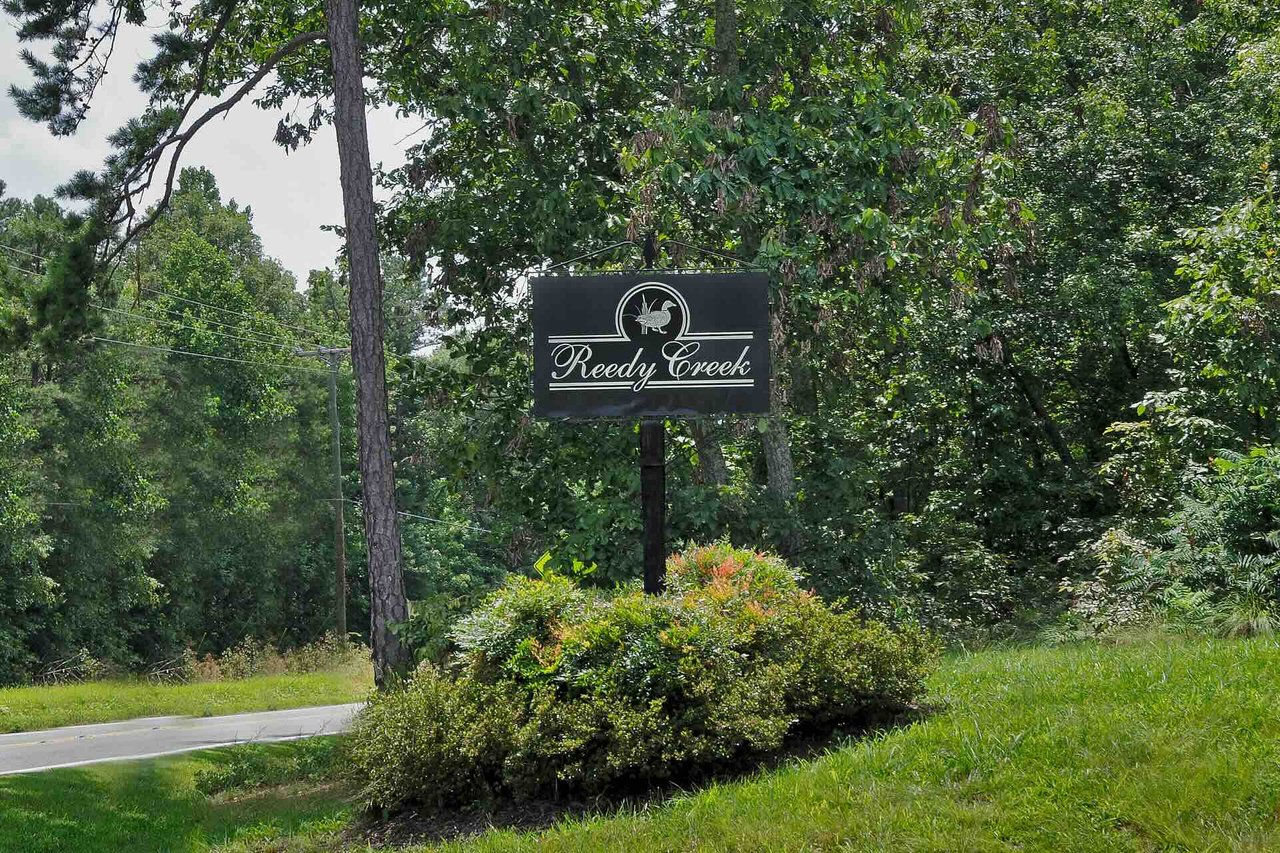 Reedy Creek