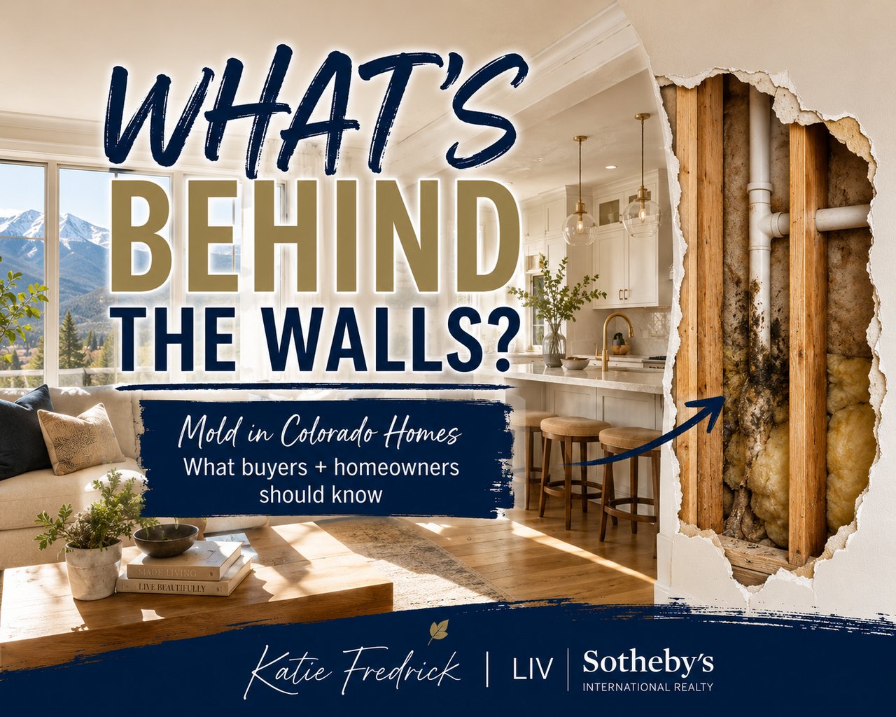 Mold in Colorado Homes: What Buyers and Homeowners Should Know
