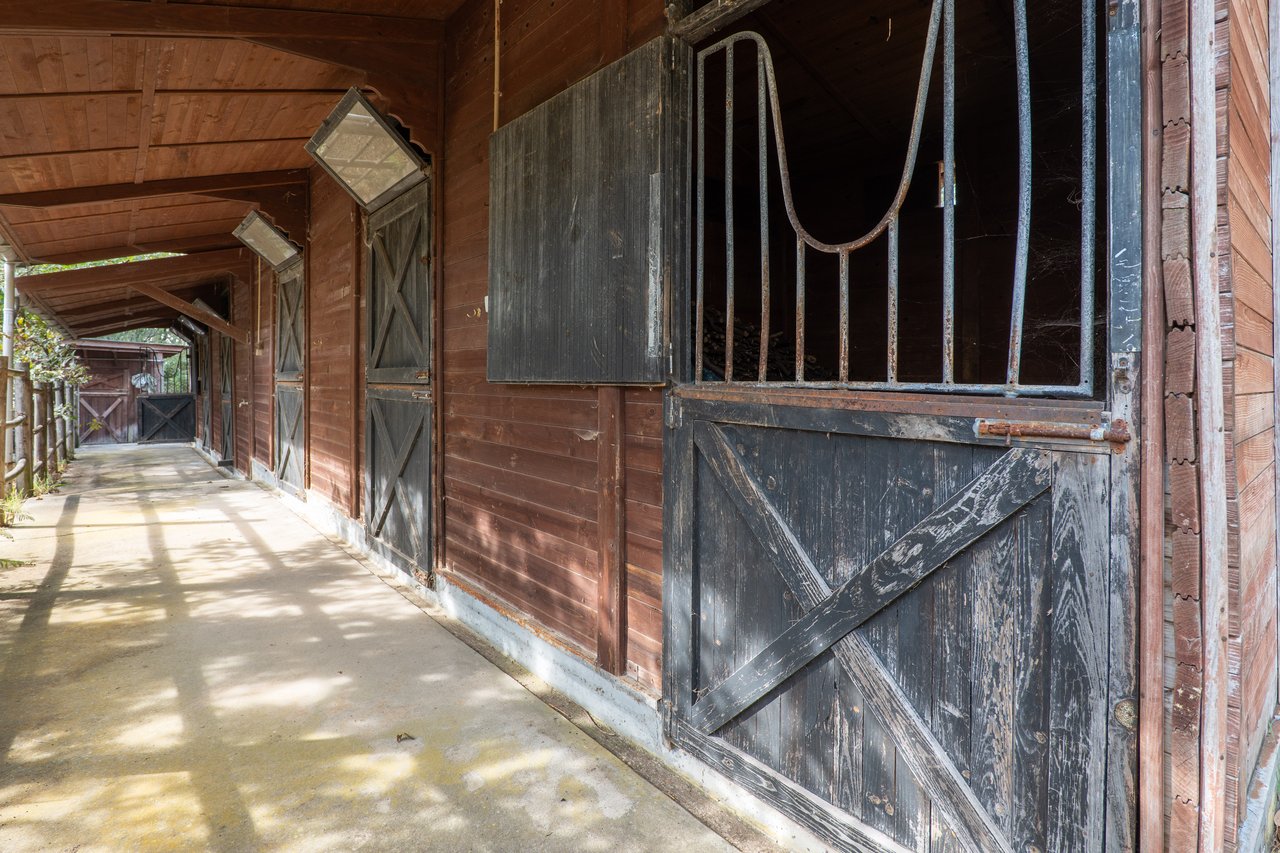 Equestrian Estate in Lavra with 13,000 m² just 800 Meters from the Beach
