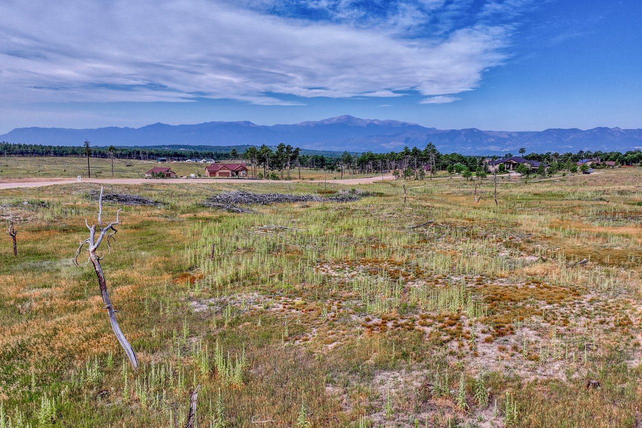 lot 1 Forest heights Circle