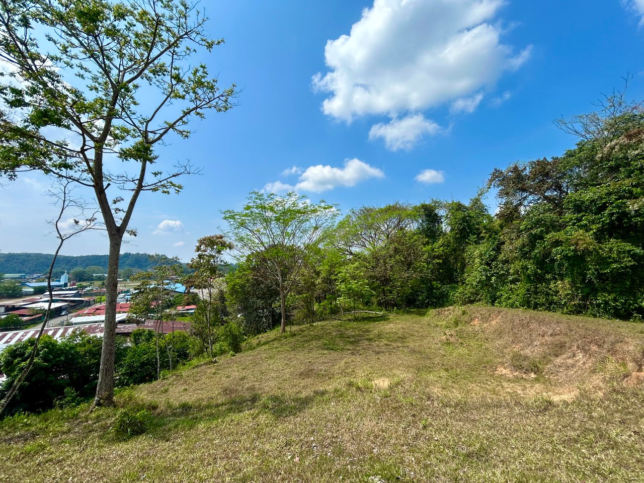 Mix Use Land in Palmar Norte with Costanera Access and Several Potential Buiding Sites - Over 10 Acres