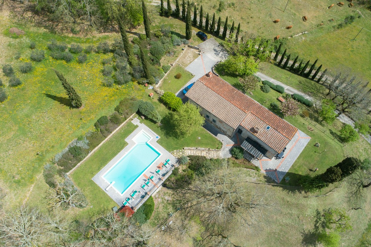 PODERE VICCHIO