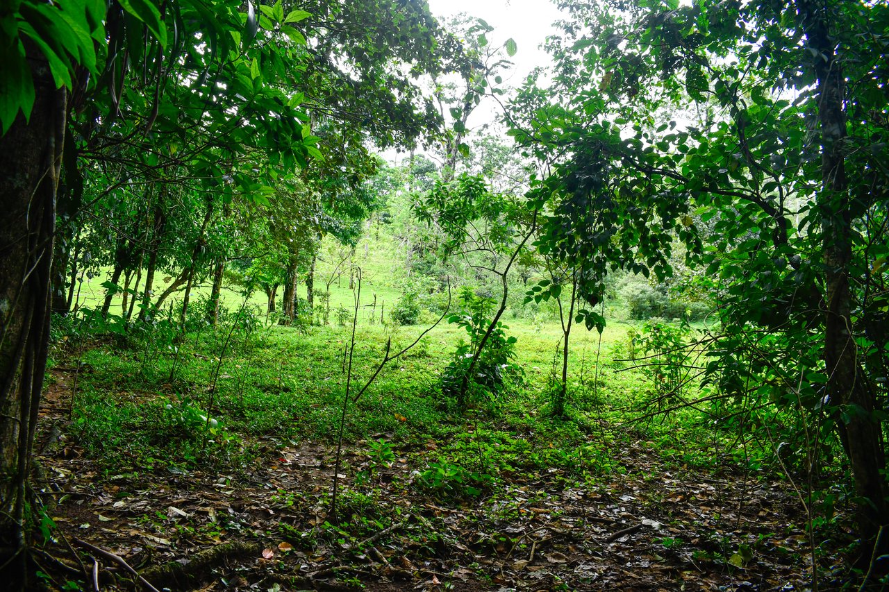 Finca Altamira | Boasting breathtaking panoramic views of the majestic Miravalles Volcano!