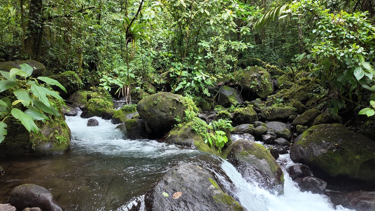 10.5 Hectares Rio Celeste - Nature Lover's Dream - Bijagua 