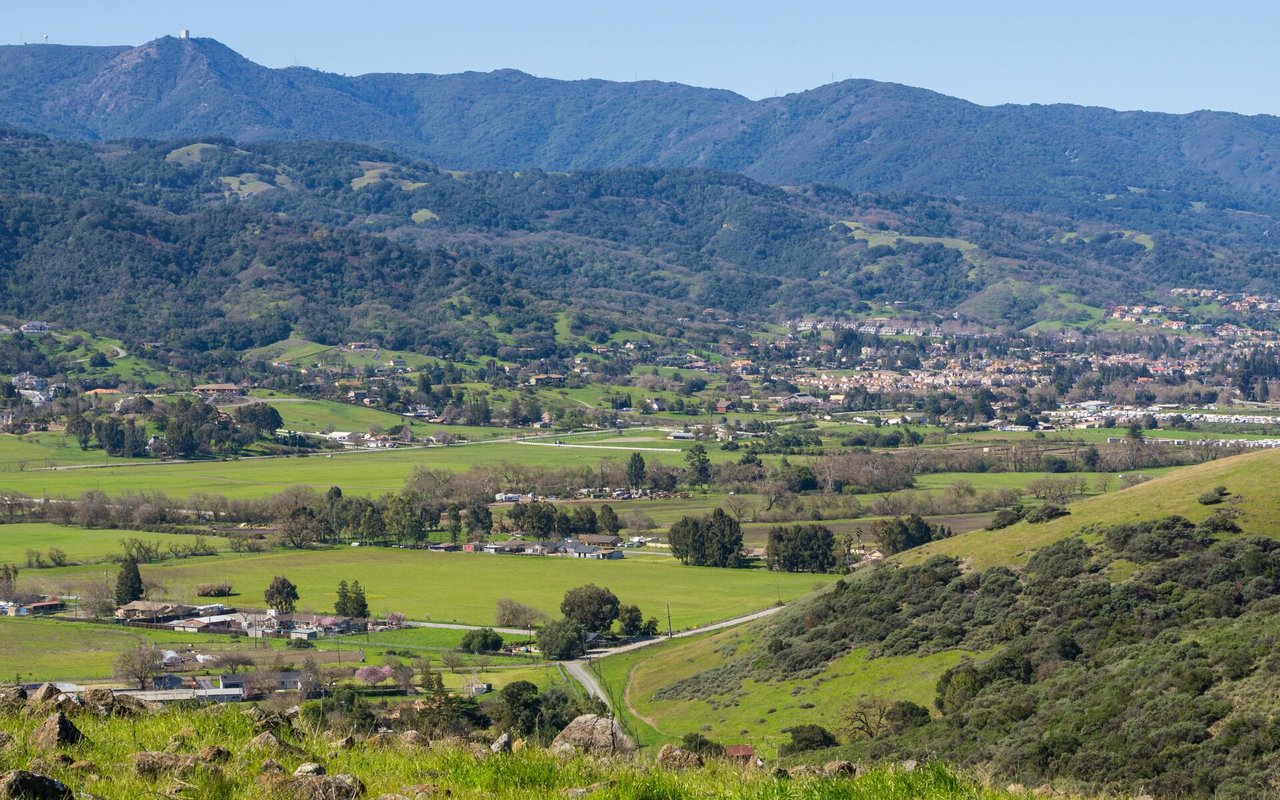 Sunland Preserve