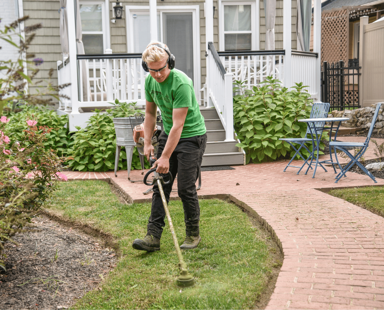 The Role of Landscaping in Boosting Your Home's Aesthetic Appeal