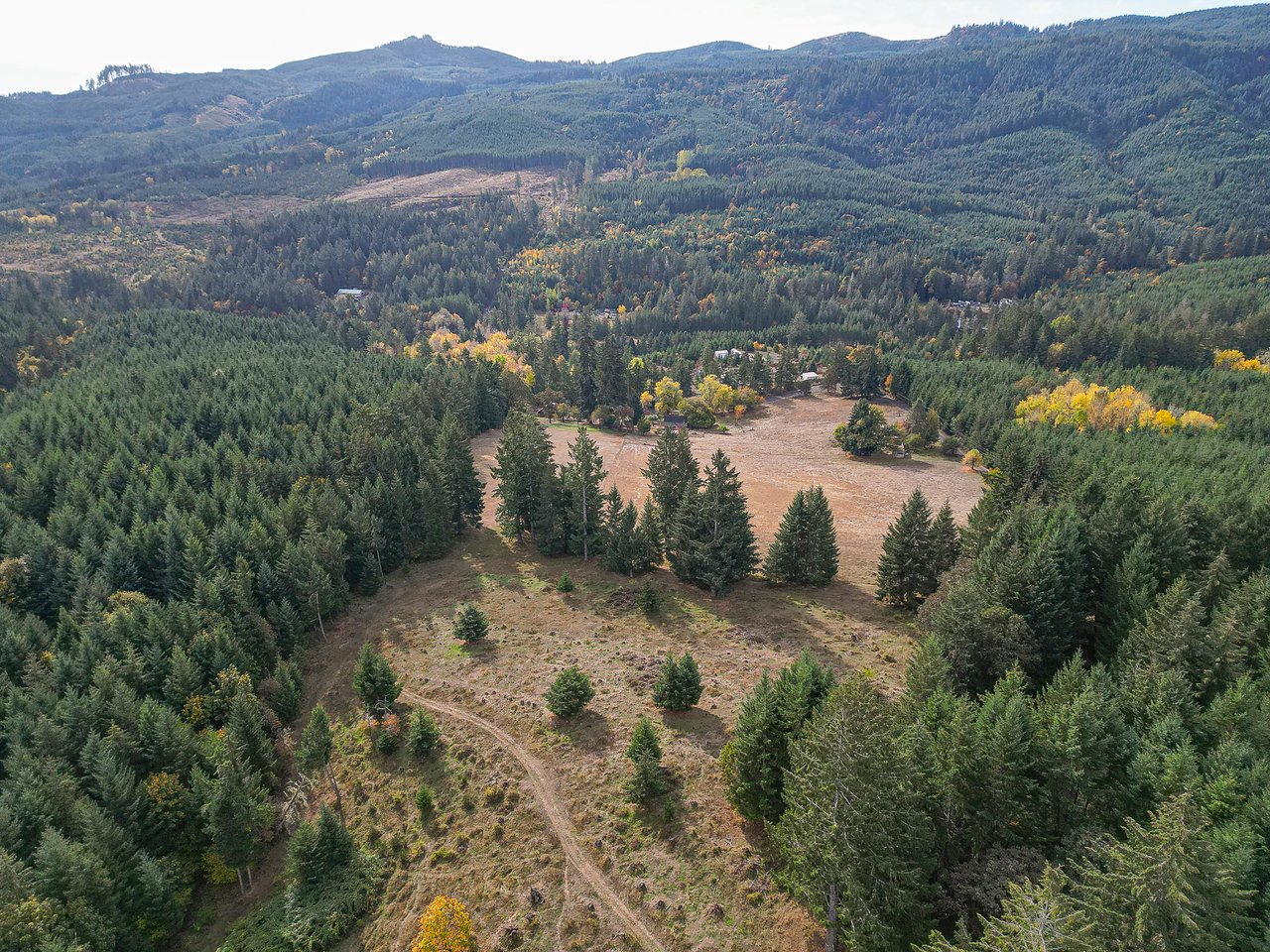 Panther Creek Homestead