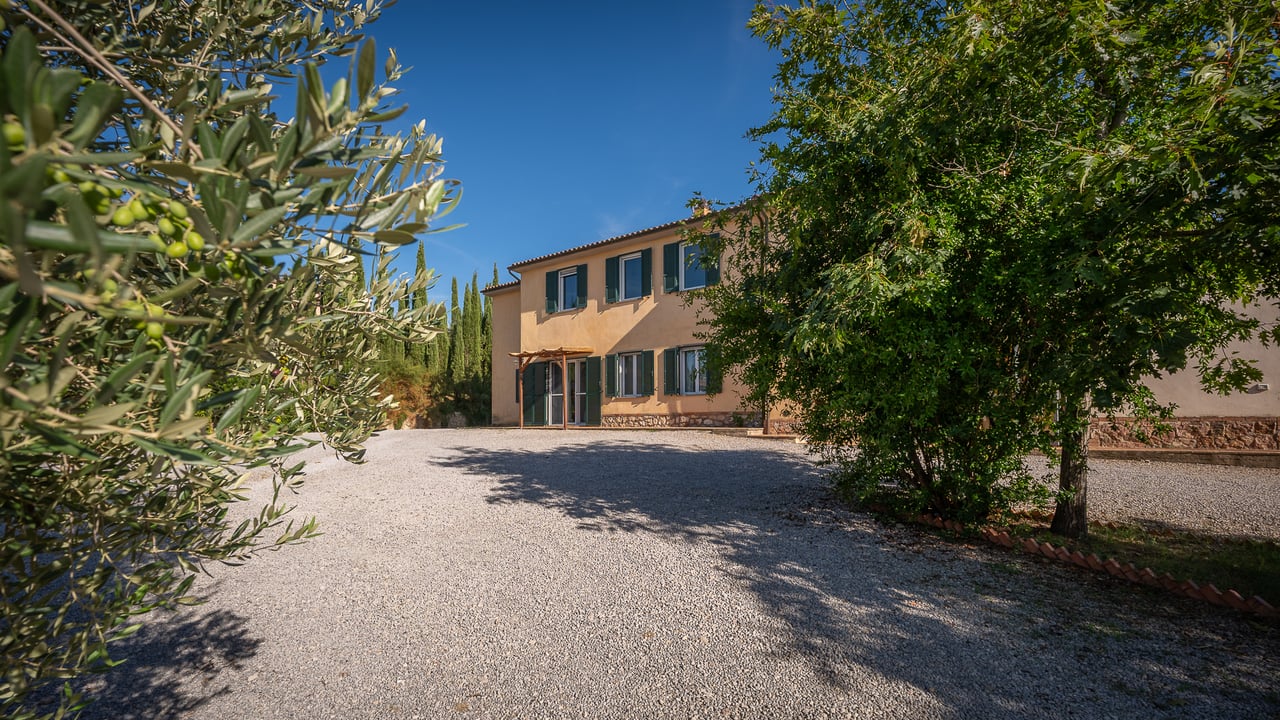 IL LEONE DEL FIORA
