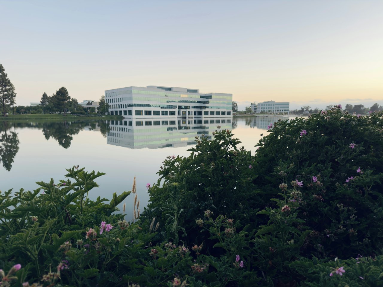 Redwood Shores lagoon with landscaped waterfront and modern buildings