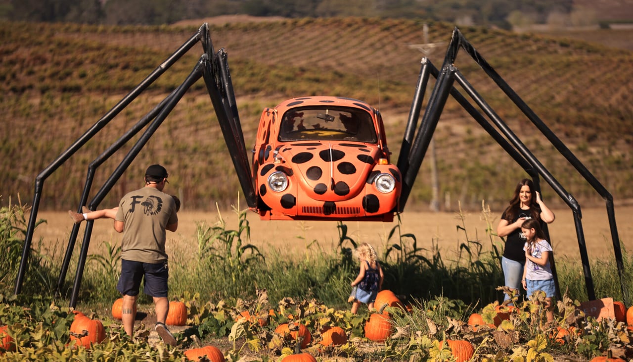 The Ultimate Guide to Sonoma County Pumpkin Patches in 2025