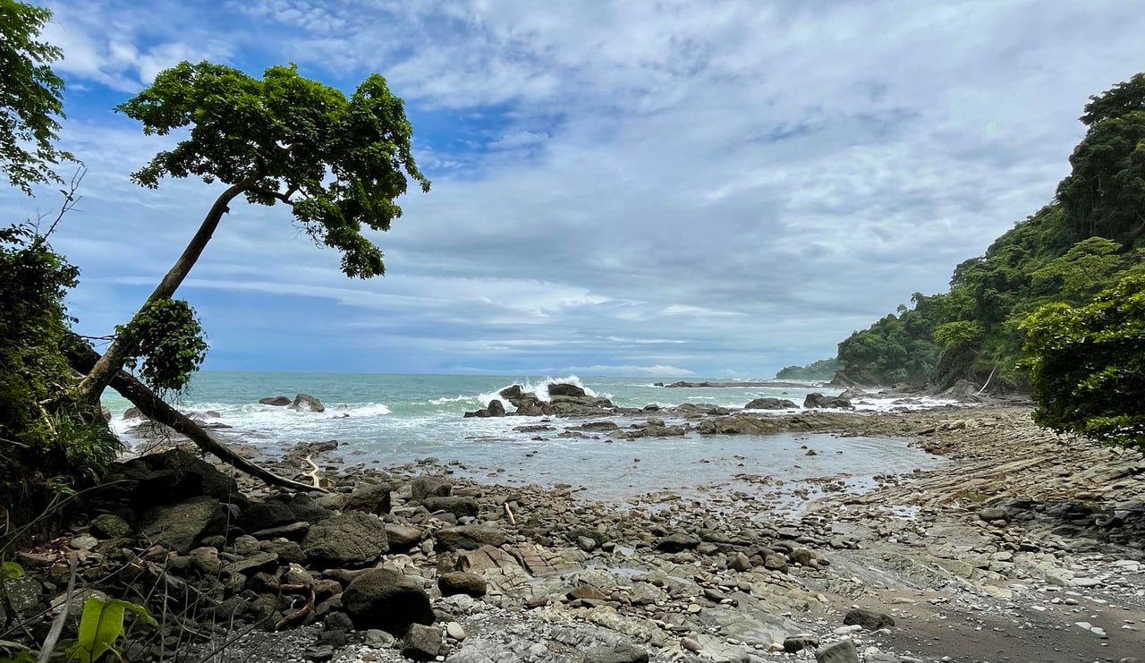 VILLA TURQUESA, MAJESTIC OASIS WITH EXTRA BUILDING SITE, CLOSE TO THE BEACH & WILDLIFE 